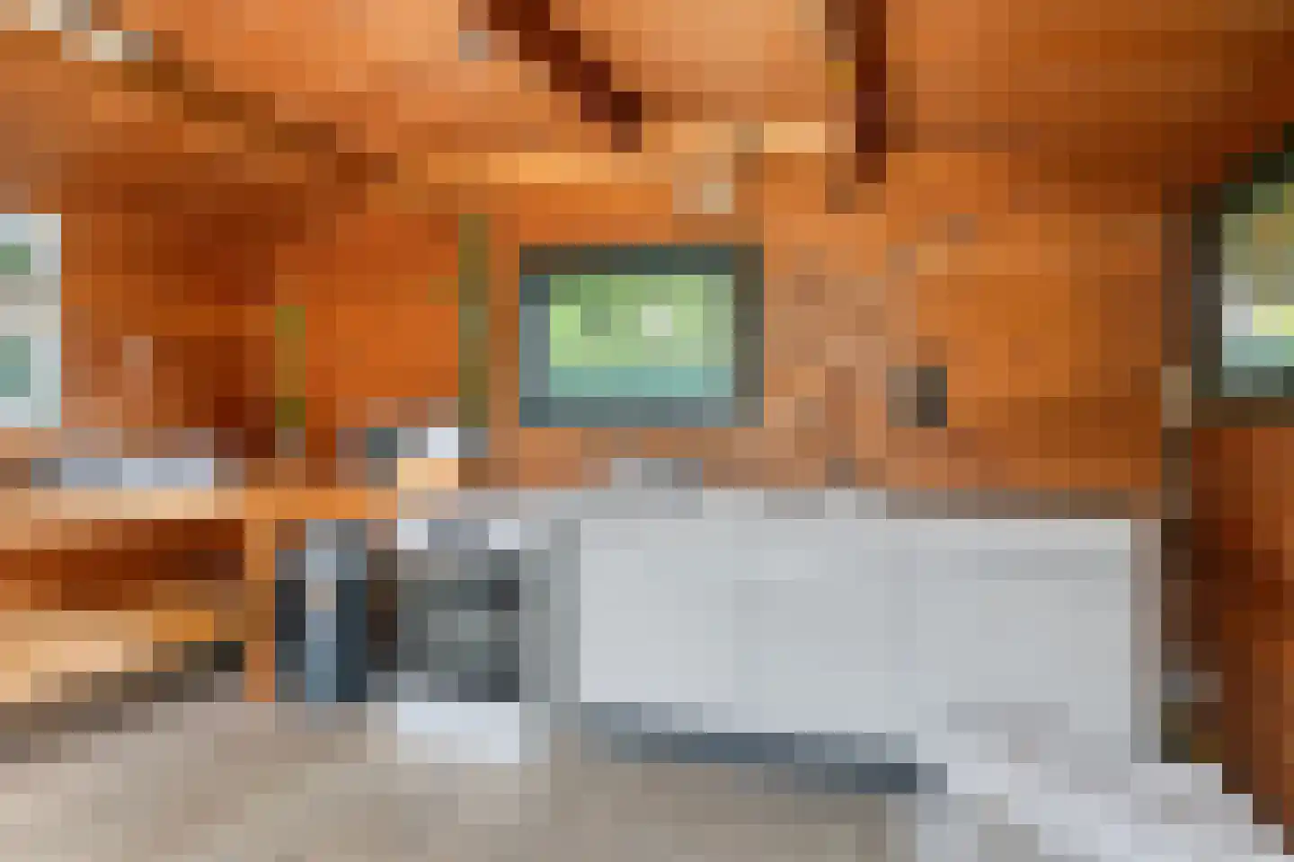 Wilhelminastraat 18 Krabbendijke thumbnail 19