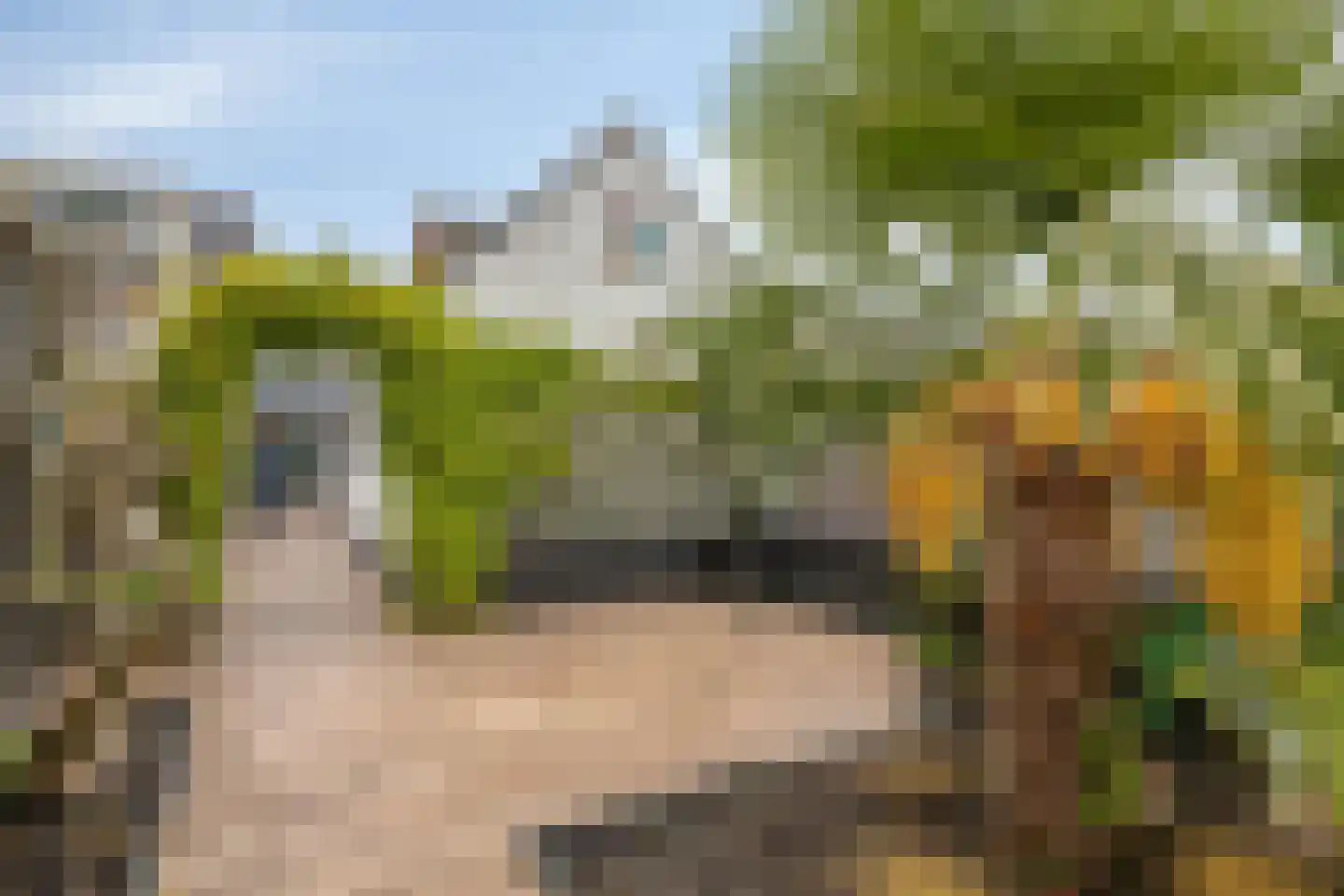 Wilhelminastraat 18 Krabbendijke thumbnail 21