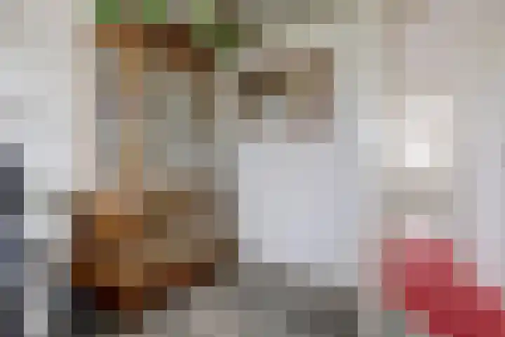 Wilhelminastraat 18 Krabbendijke thumbnail 21