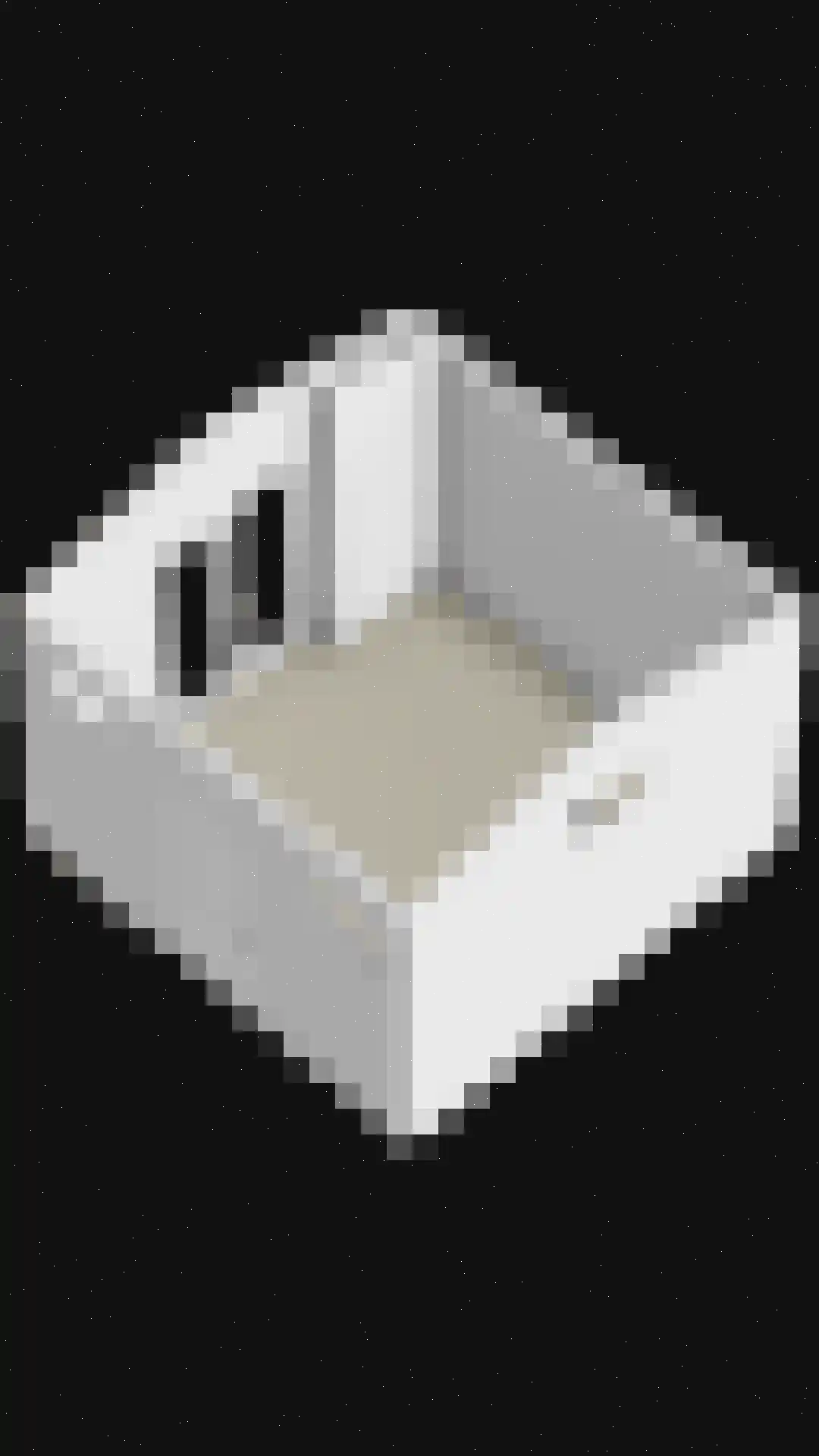 Wilhelminastraat 18 Krabbendijke thumbnail 32