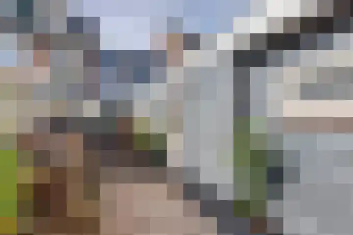 Wilhelminastraat 18 Krabbendijke thumbnail 32