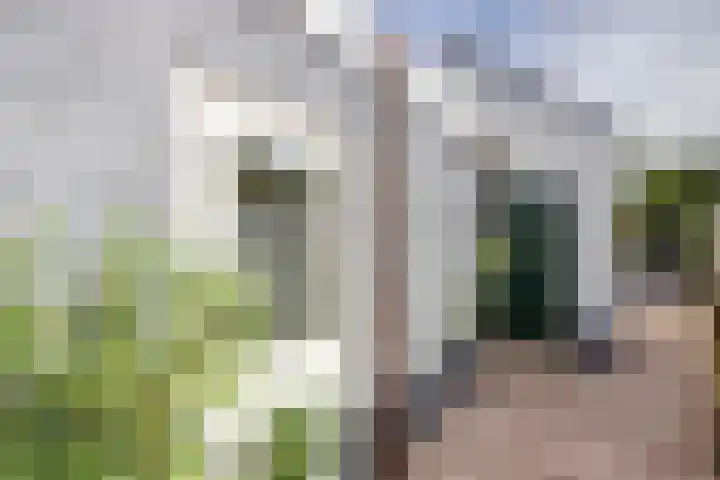 Wilhelminastraat 18 Krabbendijke thumbnail 33