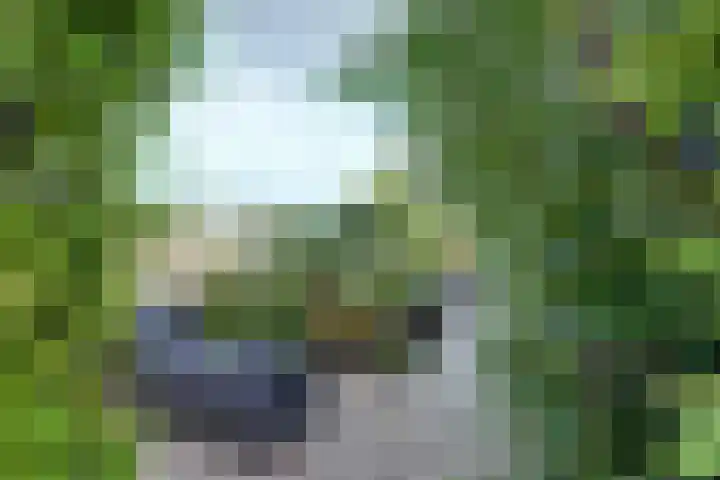 Wilhelminastraat 18 Krabbendijke thumbnail 35