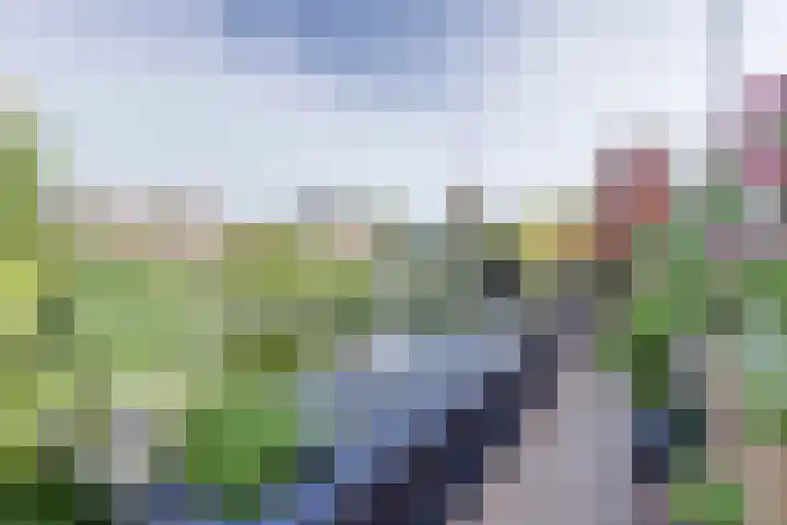 Wilhelminastraat 18 Krabbendijke thumbnail 38