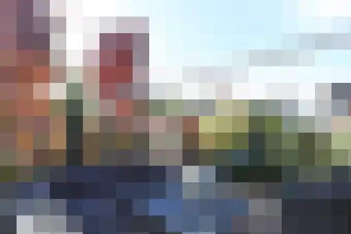 Wilhelminastraat 18 Krabbendijke thumbnail 41