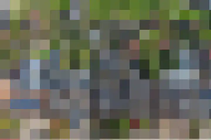 Wilhelminastraat 18 Krabbendijke thumbnail 47