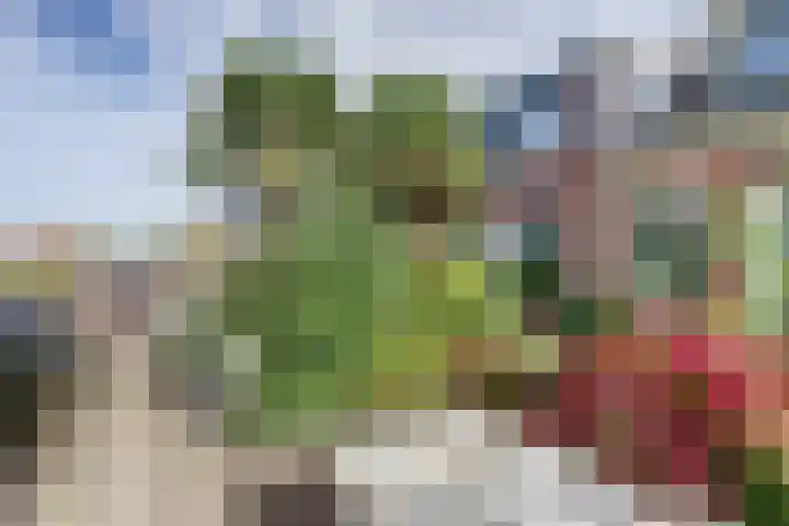 Wilhelminastraat 18 Krabbendijke thumbnail 5