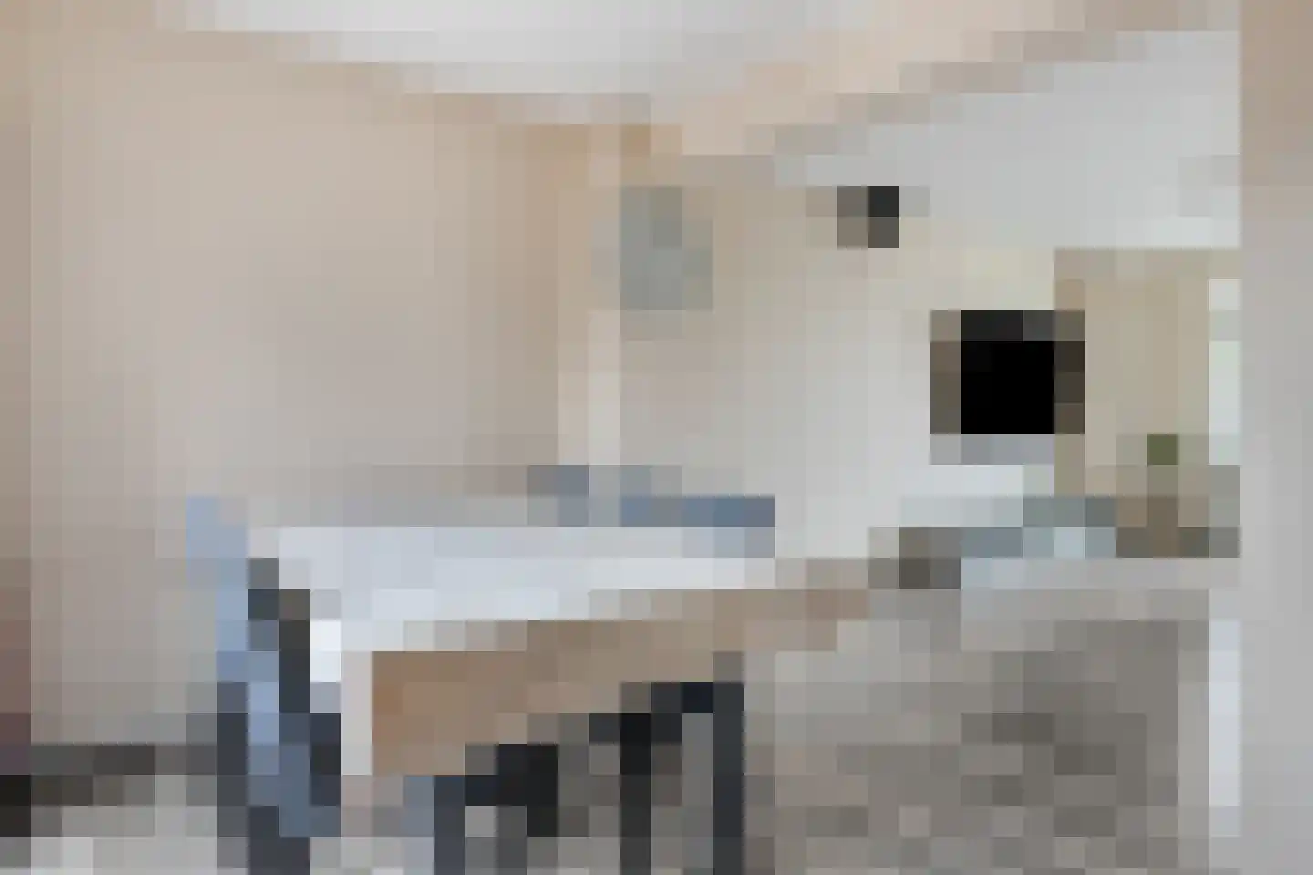 Wilhelminastraat 18 Krabbendijke thumbnail 5