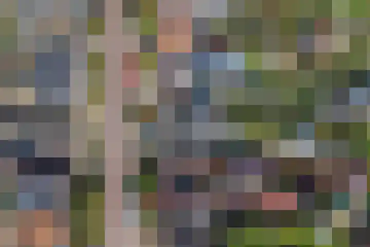 Wilhelminastraat 18 Krabbendijke thumbnail 50