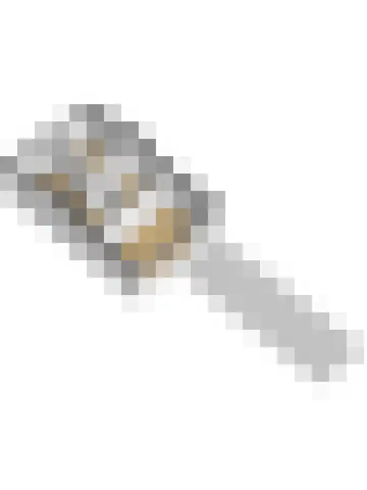 Wilhelminastraat 18 Krabbendijke thumbnail 56