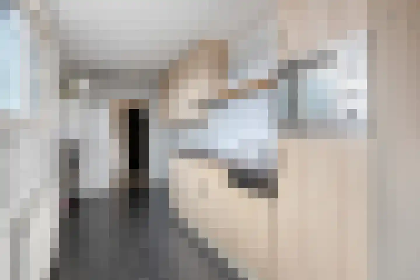 Wilhelminastraat 18 Krabbendijke thumbnail 7