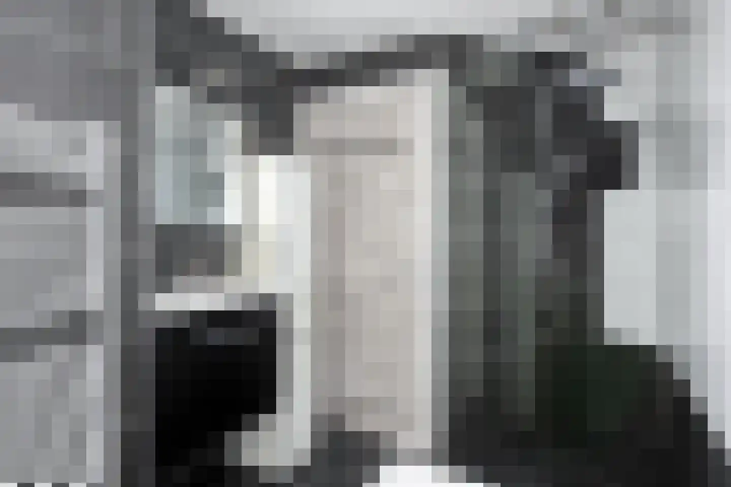 Wilhelminastraat 18 Krabbendijke thumbnail 8