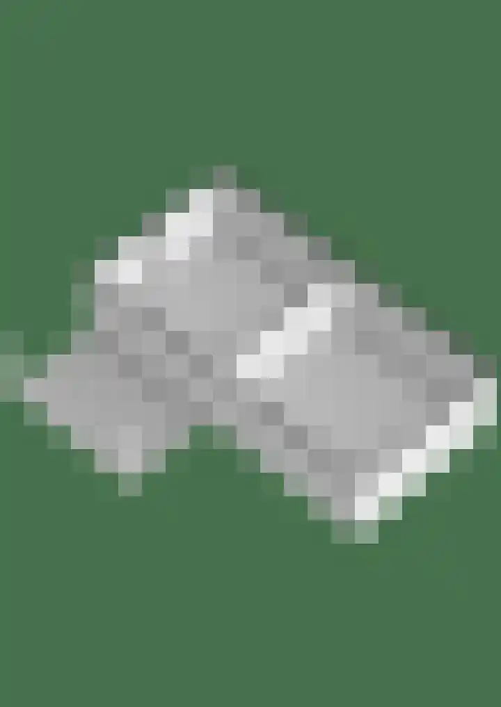 Wilhelminastraat 18 Meppel thumbnail 54