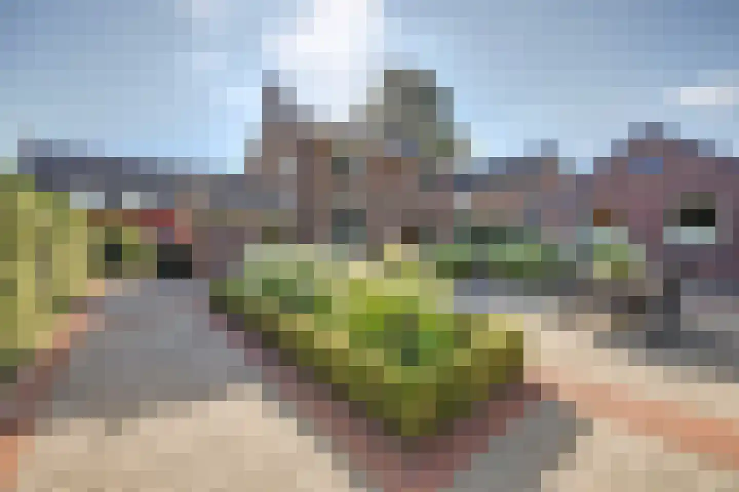 Wilhelminastraat 18 Nieuw-Beijerland thumbnail 18
