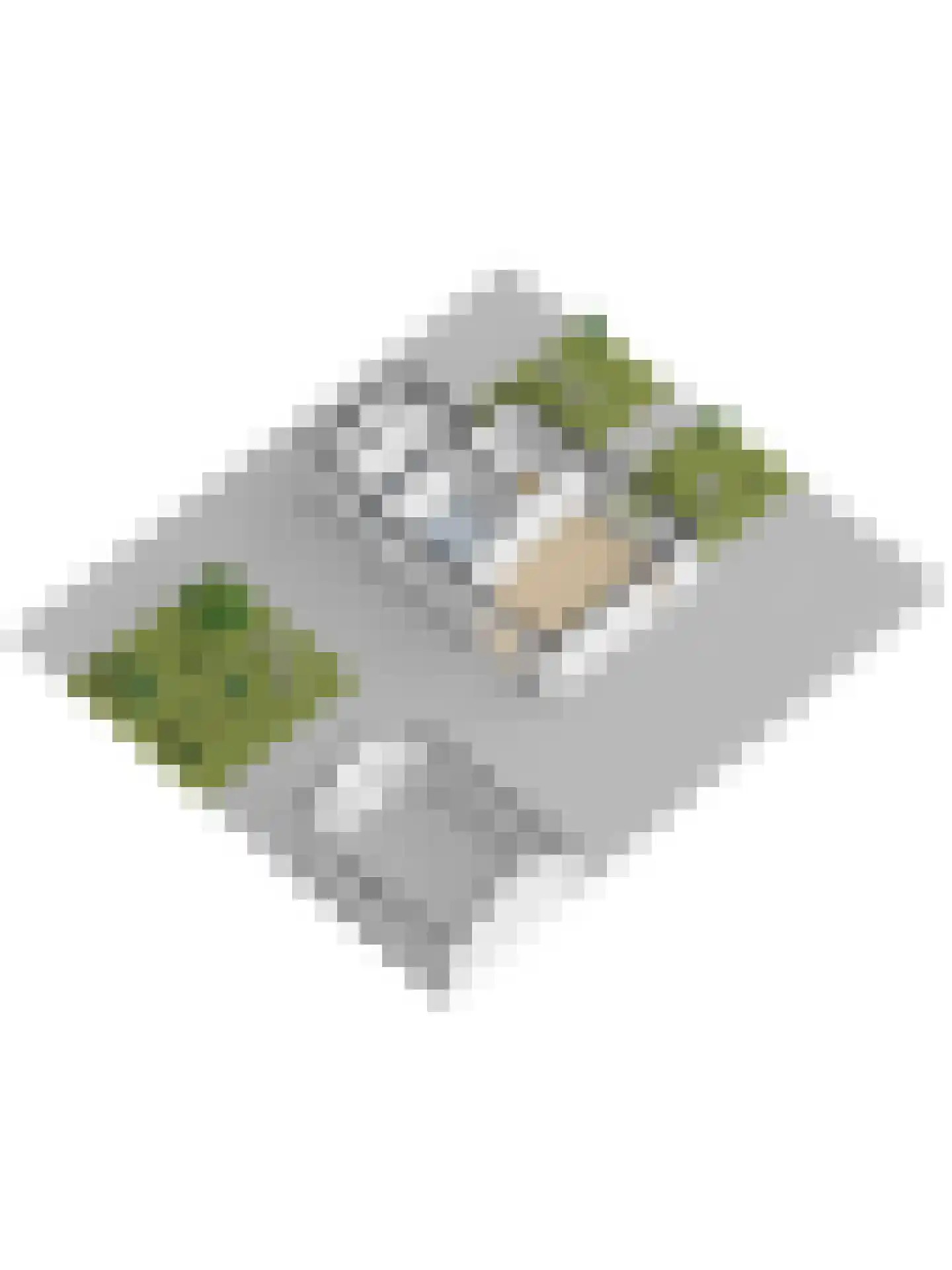 Wilhelminastraat 18 Nieuw-Beijerland thumbnail 32