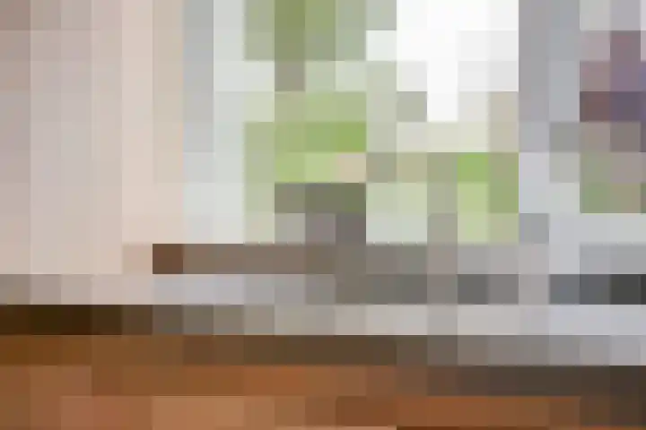 Wilhelminastraat 18 't Zand thumbnail 11