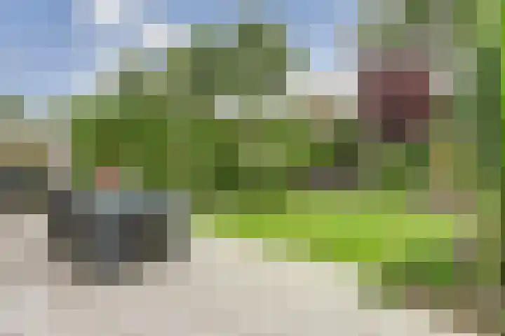 Wilhelminastraat 18 't Zand thumbnail 14