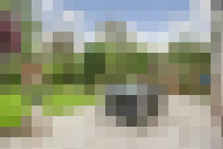 Wilhelminastraat 18 't Zand thumbnail 15