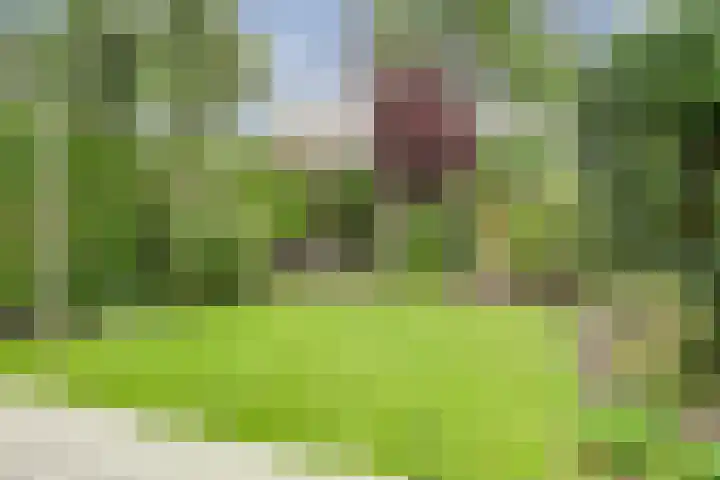 Wilhelminastraat 18 't Zand thumbnail 16