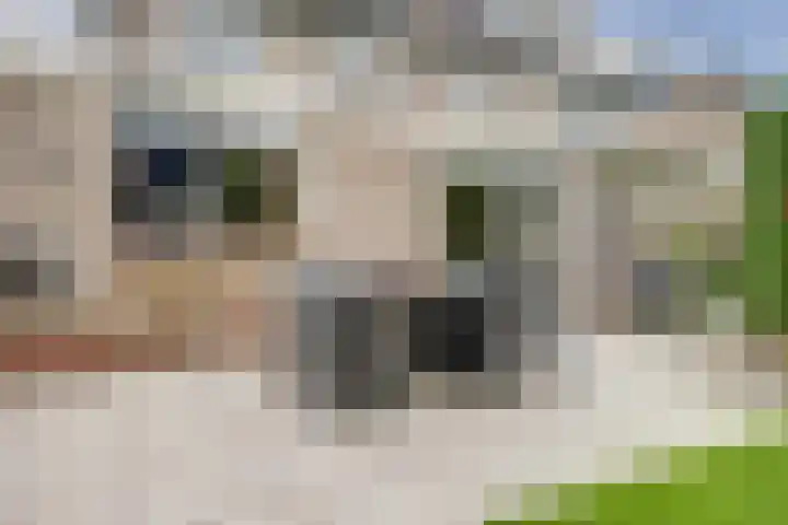 Wilhelminastraat 18 't Zand thumbnail 18