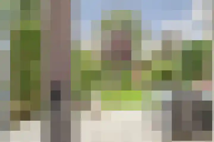 Wilhelminastraat 18 't Zand thumbnail 19
