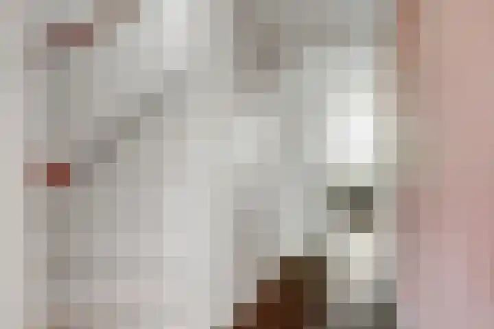 Wilhelminastraat 18 't Zand thumbnail 21