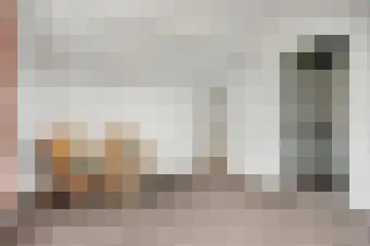 Wilhelminastraat 18 't Zand thumbnail 31