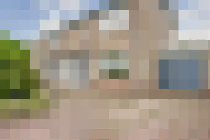 Wilhelminastraat 18 't Zand thumbnail 33