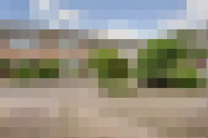 Wilhelminastraat 18 't Zand thumbnail 34