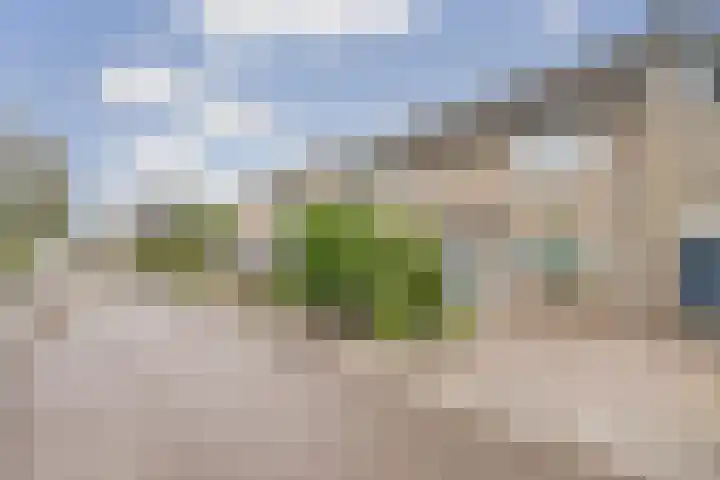 Wilhelminastraat 18 't Zand thumbnail 35