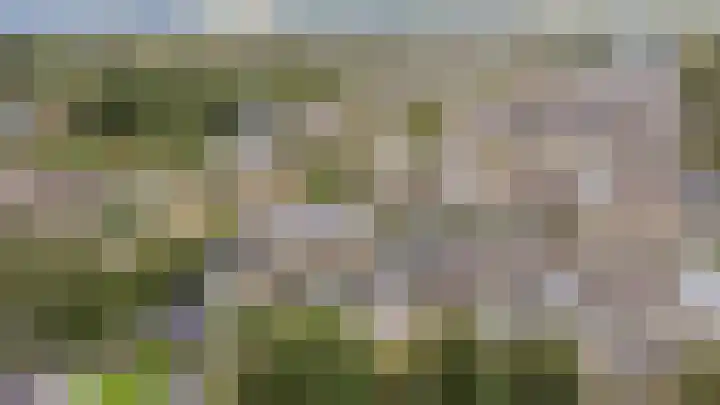Wilhelminastraat 18 't Zand thumbnail 37