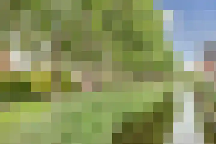 Wilhelminastraat 18 't Zand thumbnail 38