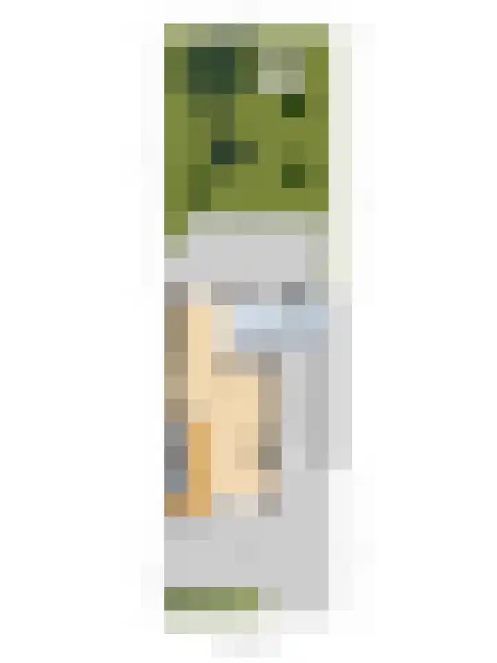 Wilhelminastraat 18 't Zand thumbnail 40