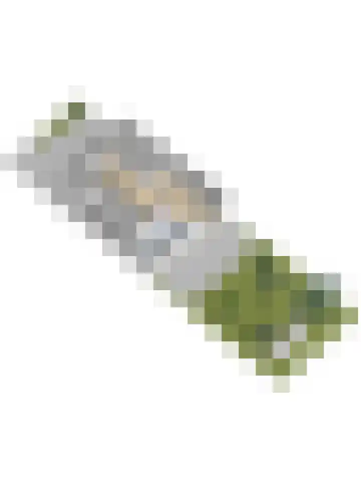 Wilhelminastraat 18 't Zand thumbnail 43