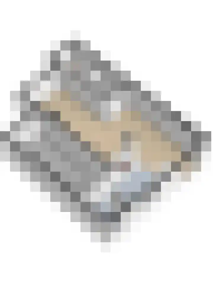 Wilhelminastraat 18 't Zand thumbnail 44