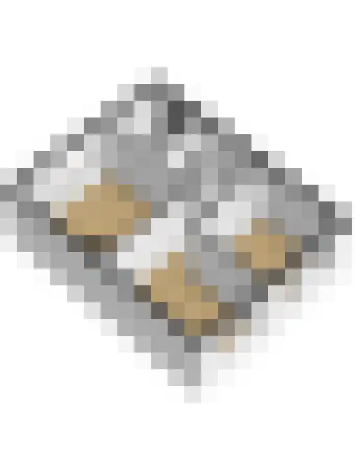 Wilhelminastraat 18 't Zand thumbnail 45