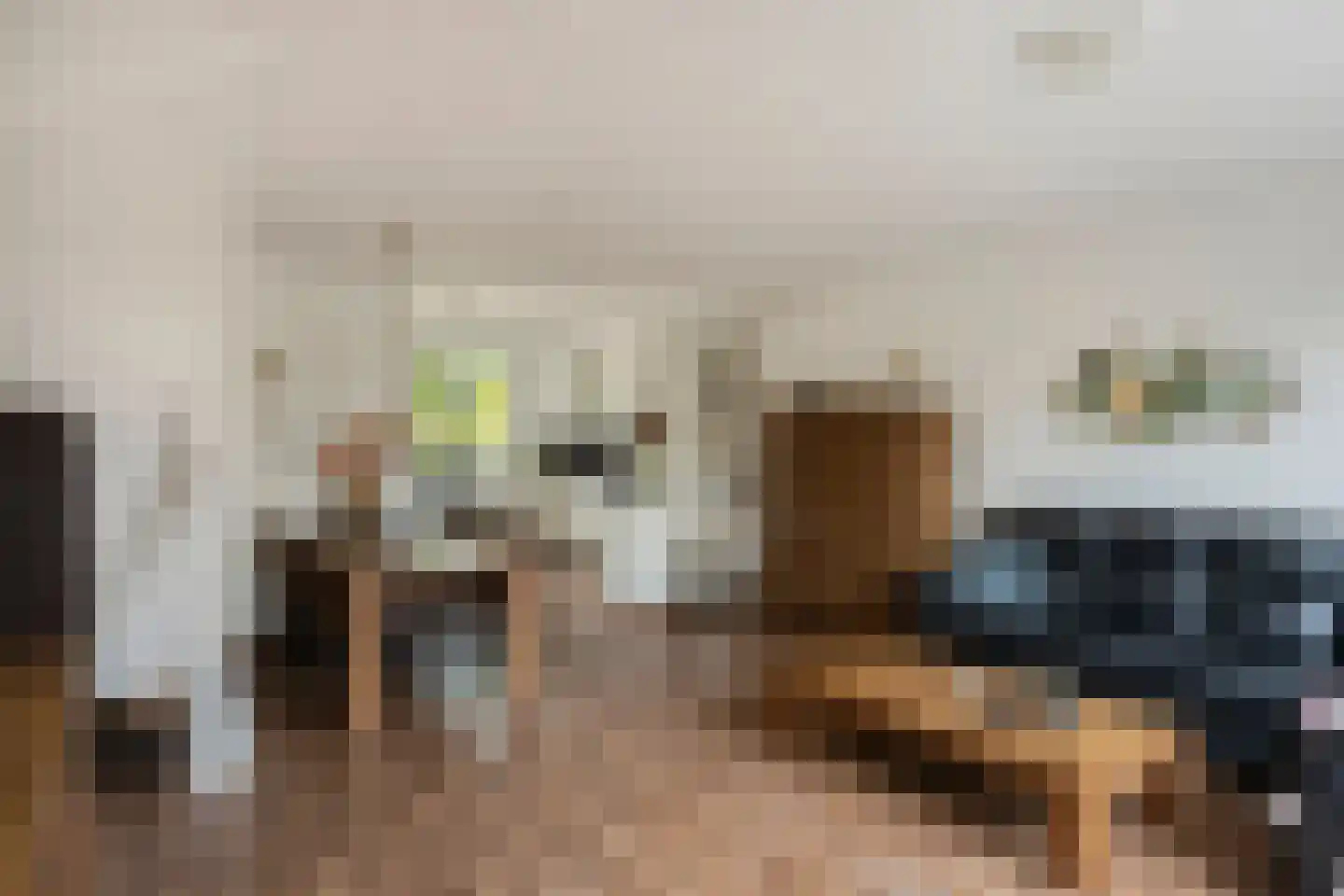 Wilhelminastraat 19 Druten thumbnail 10