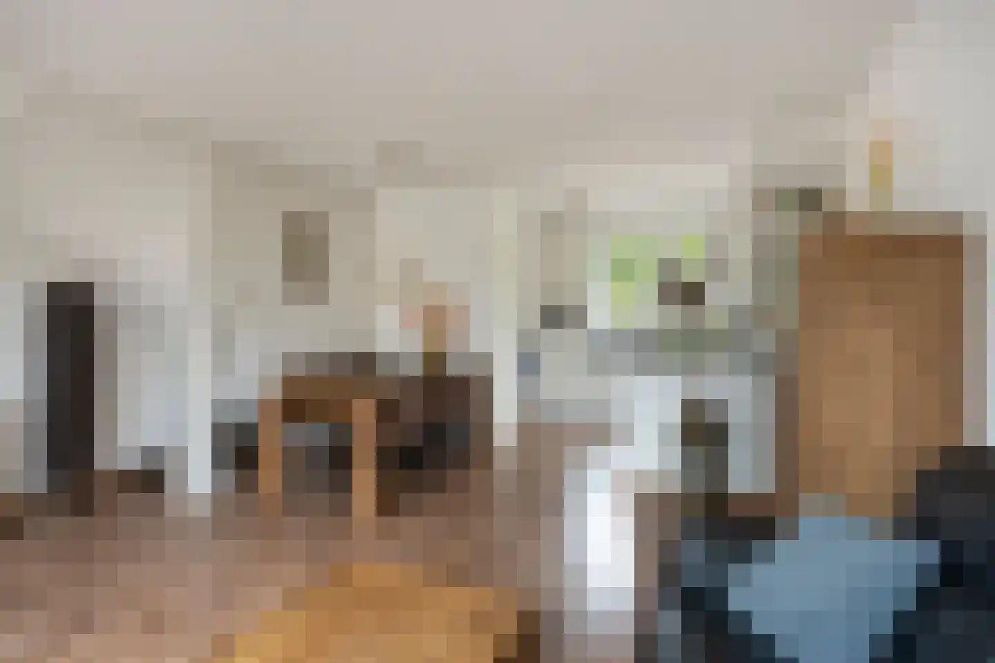 Wilhelminastraat 19 Druten thumbnail 11