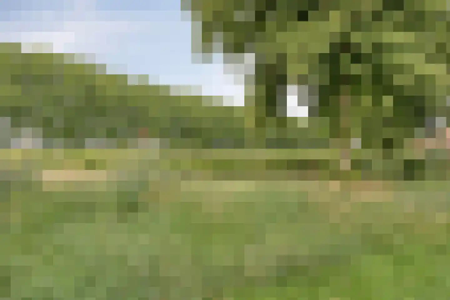 Wilhelminastraat 19 Druten thumbnail 33
