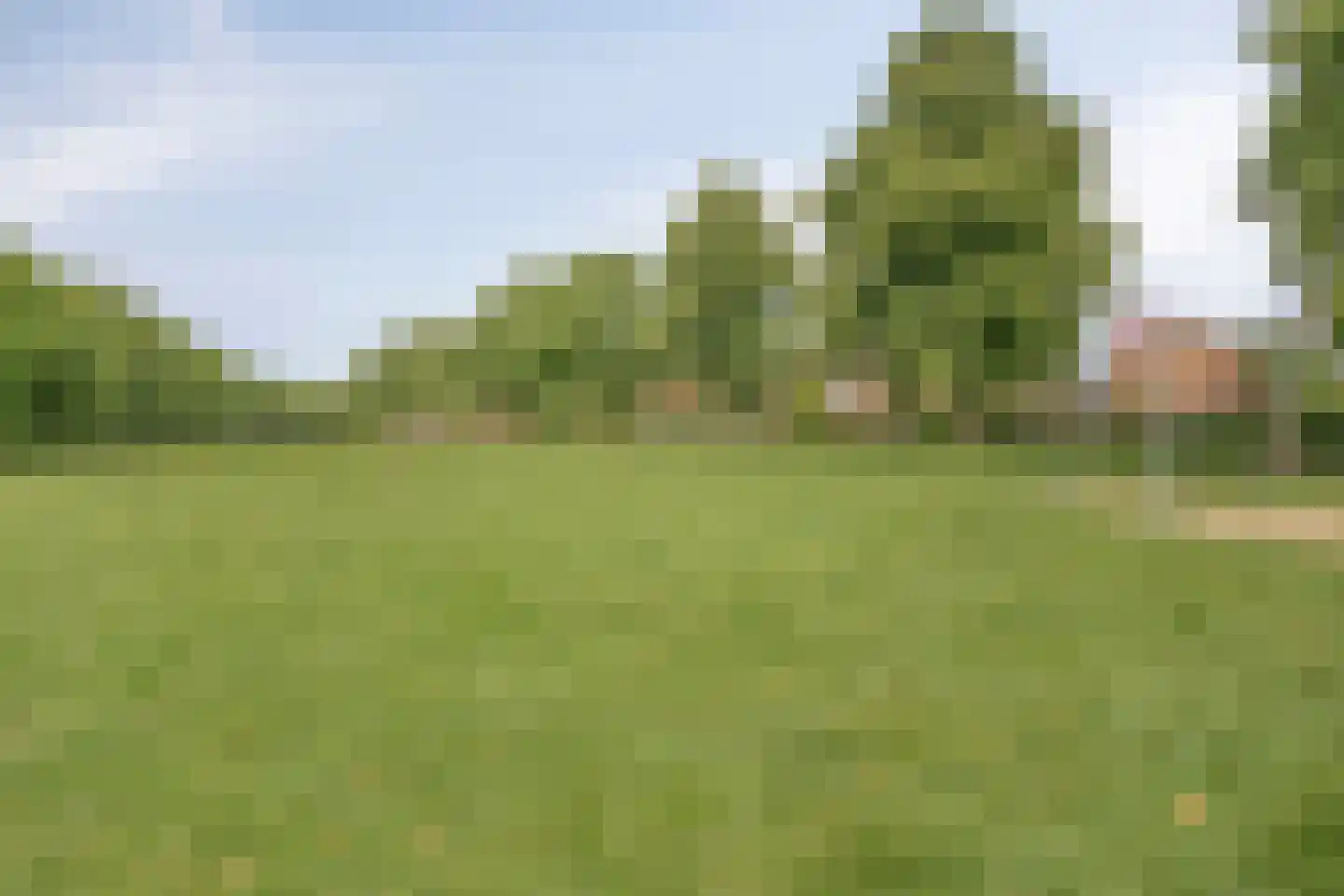 Wilhelminastraat 19 Druten thumbnail 34