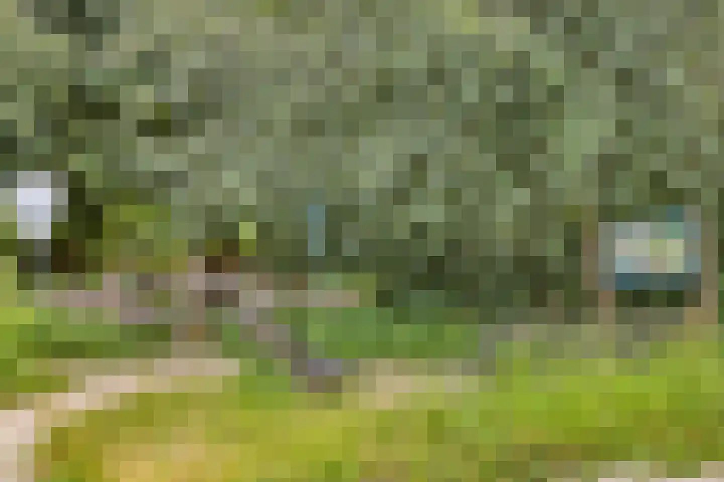 Wilhelminastraat 19 Druten thumbnail 37