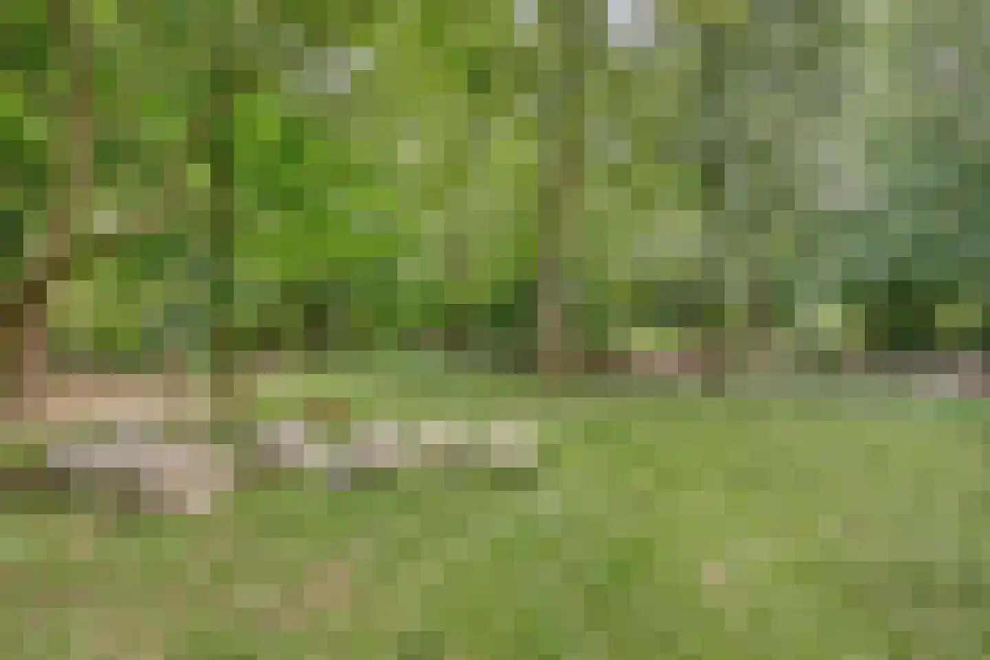 Wilhelminastraat 19 Druten thumbnail 38