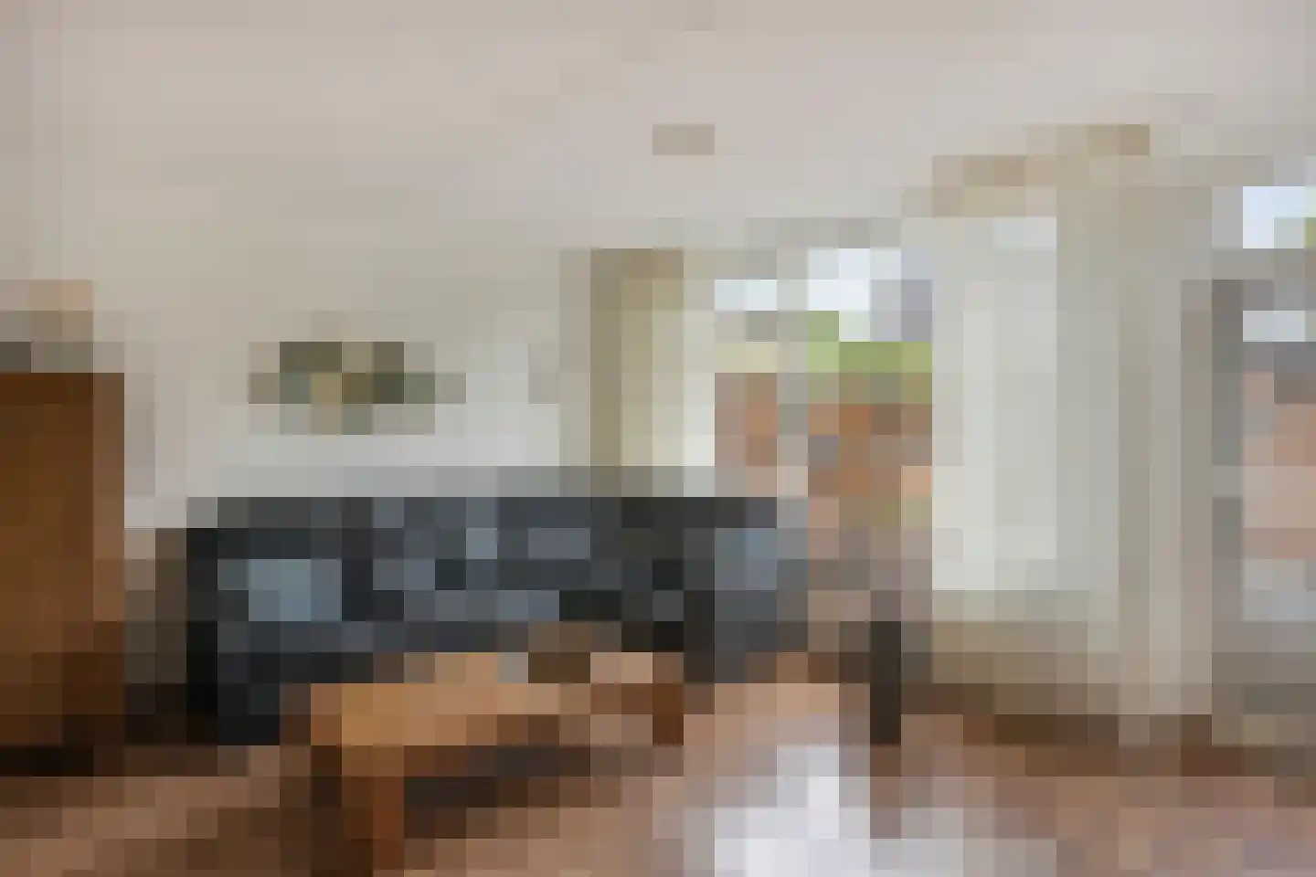 Wilhelminastraat 19 Druten thumbnail 9