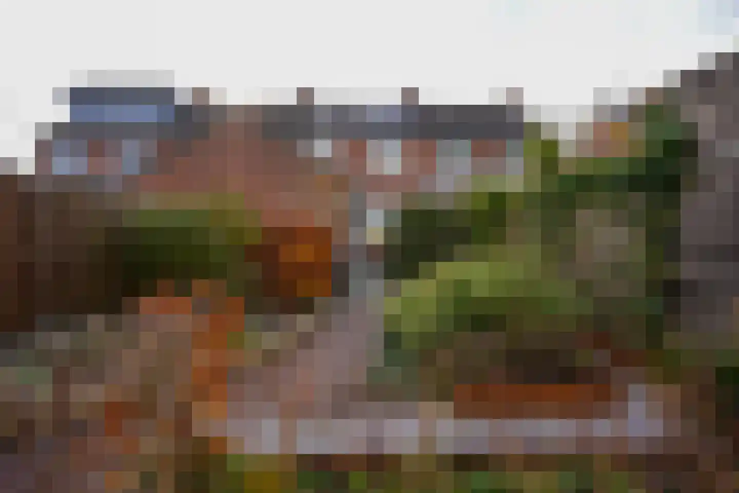 Wilhelminastraat 19 Gulpen thumbnail 19