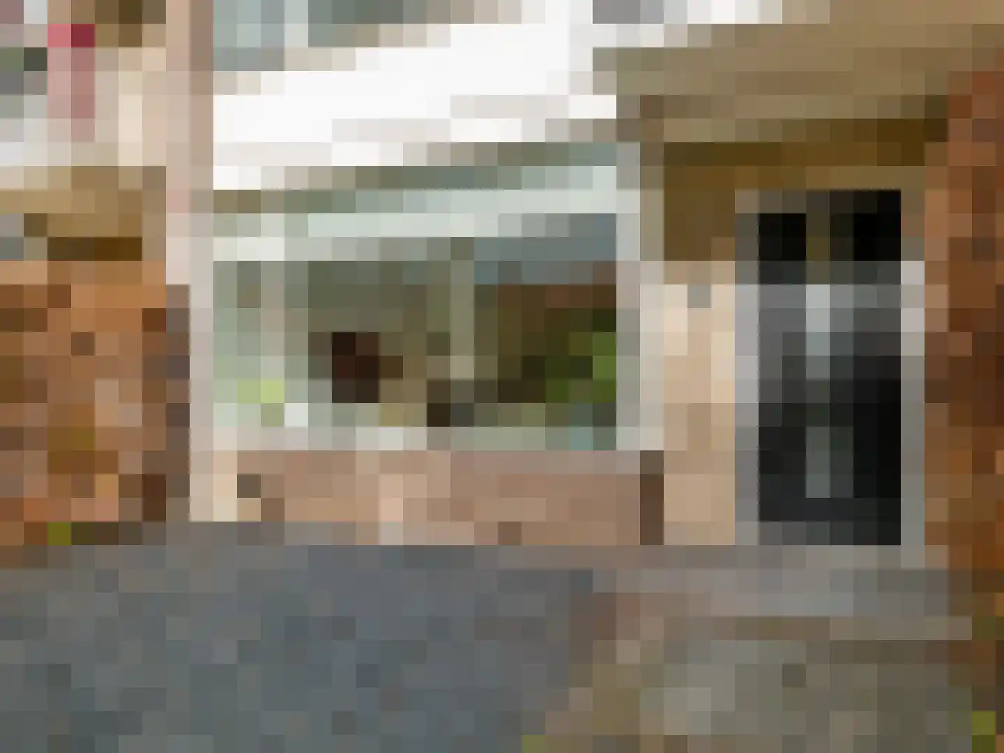 Wilhelminastraat 19 Leiderdorp thumbnail 5