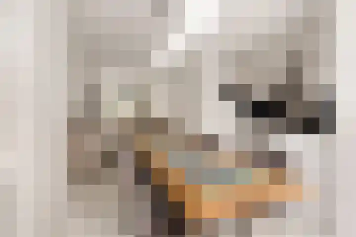 Wilhelminastraat 198 H Amsterdam thumbnail 12