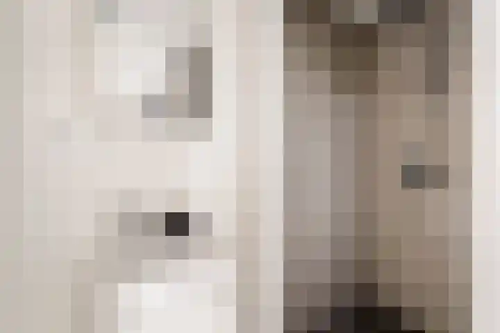 Wilhelminastraat 198 H Amsterdam thumbnail 18
