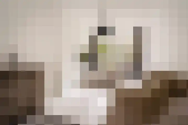 Wilhelminastraat 198 H Amsterdam thumbnail 4
