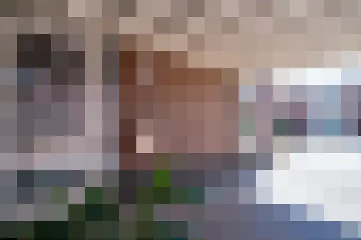 Wilhelminastraat 2 a Duiven thumbnail 10