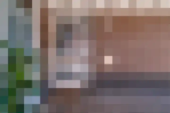 Wilhelminastraat 2 a Duiven thumbnail 11